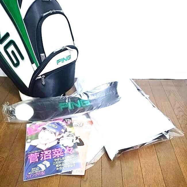 キャディバック