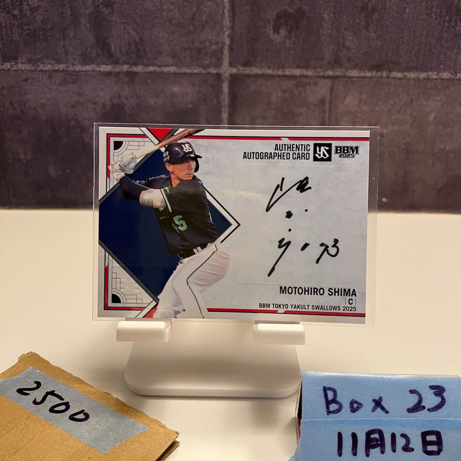 2025 BBM 嶋基宏 21/50 直筆サインカード 東京ヤクルトスワローズ