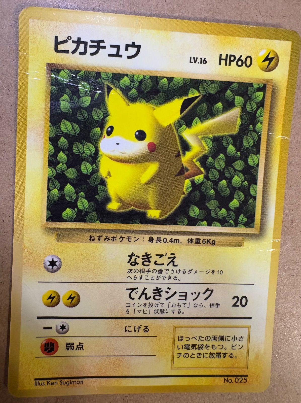 sugimori 光沢あり