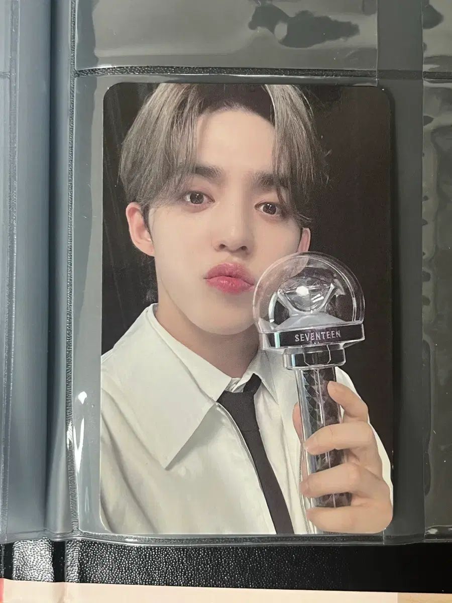 SEVENTEEN エスクプス(S.COUPS・スンチョル) ゴー(go) コンサート