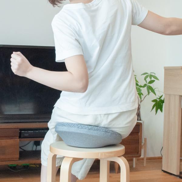 DARWING すわルンバHOME 骨盤 腰 ストレッチ 体幹 ながら運動 クッション 座椅子