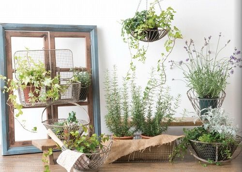 ガーデニング雑貨アンティーク ガーデン雑貨 アイアンバスケット 62632