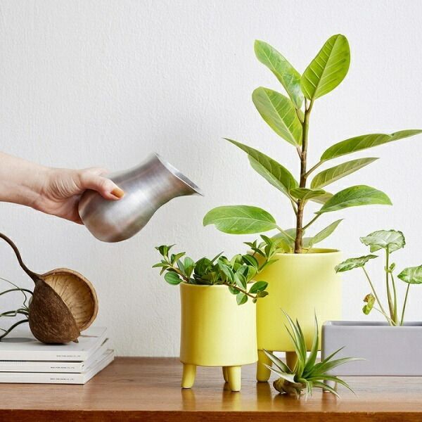 水やりにちょうど良いアルミの水差しS shesay 志成 304980 水やり