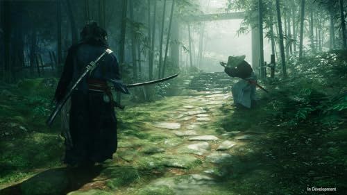 ライズオブローニン 彡