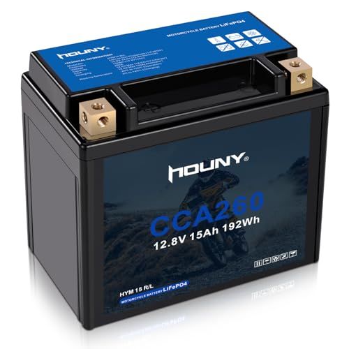 迅速に発送 リン酸鉄リチウムバイクバッテリー YTX 12 BS バッテリー 12ボルト 15アンペア時 260ミリアンペア時 ATV ジェットスキー 四輪バイク スノーモービル 個人用ウォータースポーツ機器 セイドボ ポラリス 発電機などに 7 c 821 b 79