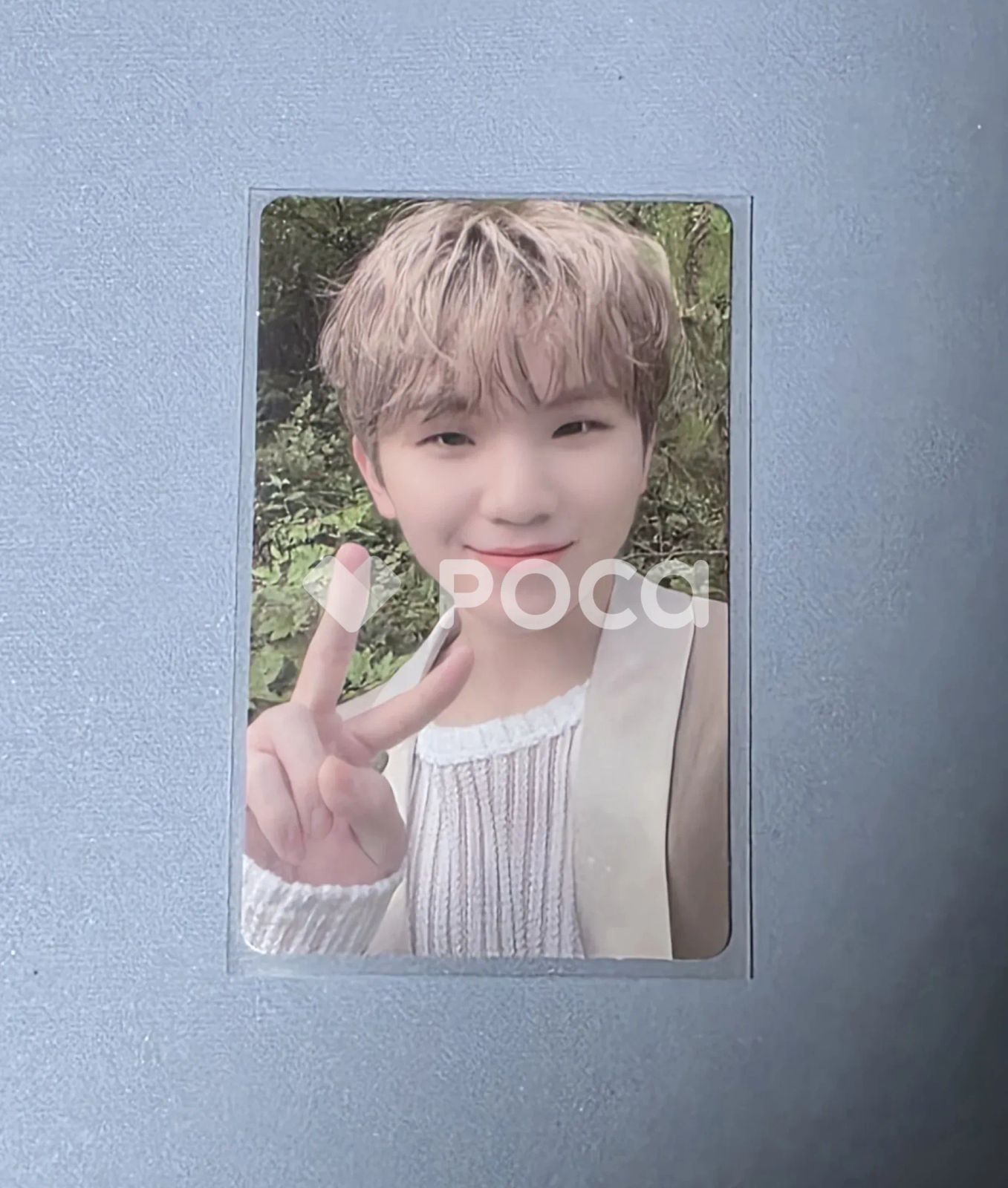 Seventeen ウジ セブチ SOCIAL CLUB : CARAT AL FINE Ver. - メルカリ