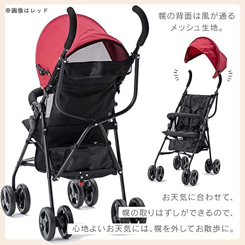 送料無料 シンセーインターナショナル