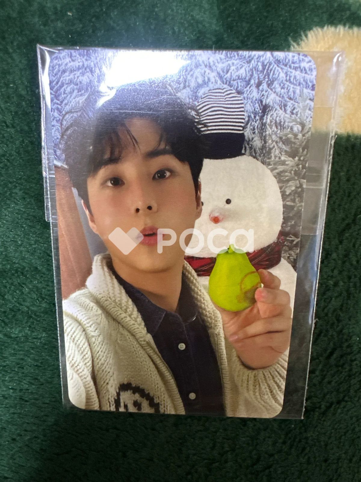 DAY6 ヨンケイ 2024 DAY6 SPECIAL CONCERT 'The Present' DENIMALZ X