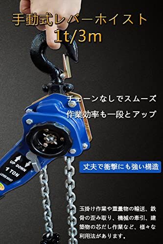  迅速に発送 チェーンブロック レバーホイスト 1 ton 3 m 1000 kg ガッチャ 荷締め機 牽引機チェーン ローラー 荷締機 チェーン ホイスト 固定 工具 T d 27 a 588 f その他 キッチン 食器