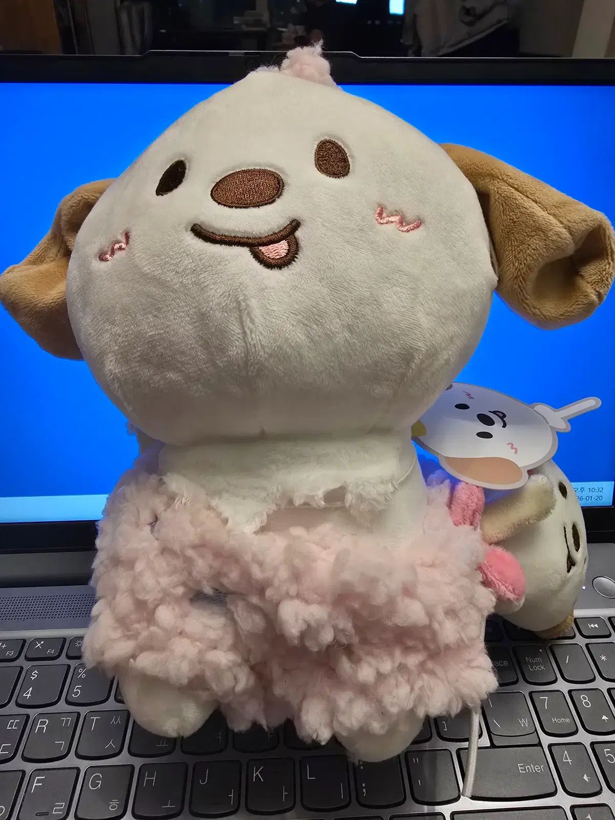 RIIZE ライズ アントン ANTON ぬいぐるみ 20 cm