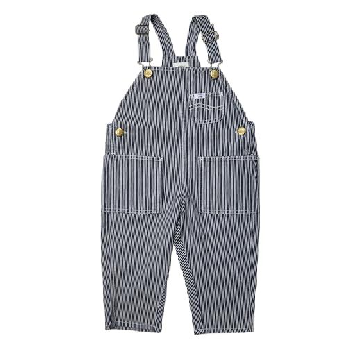 50s バディーリー　ヒッコリー BuddyLEE(バディリー) オーバーオールオーバーオール デニム