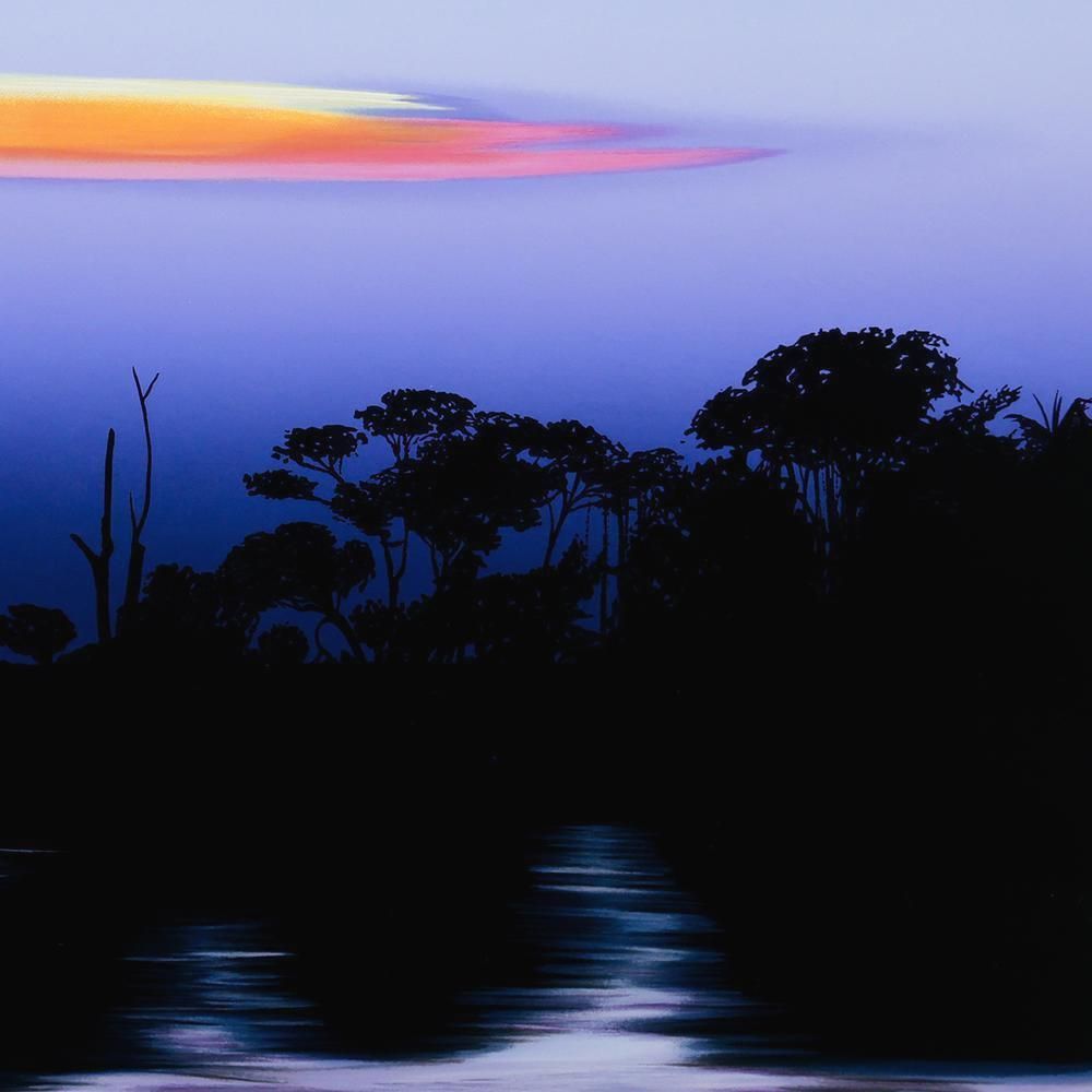 真作】【WISH】ミッシェル・バテュ Michele Battut「アフリカの湖水