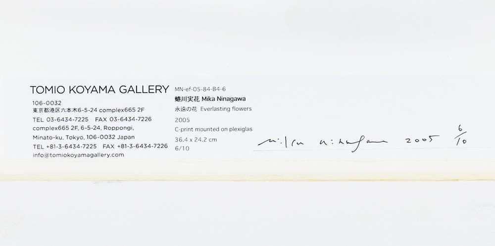 ◆古本◆蜷川実花サイン入り◆永遠の花◆女性写真家、映画監督◆蜷川幸雄の娘 works #photography #mikaninagawa #蜷川実花