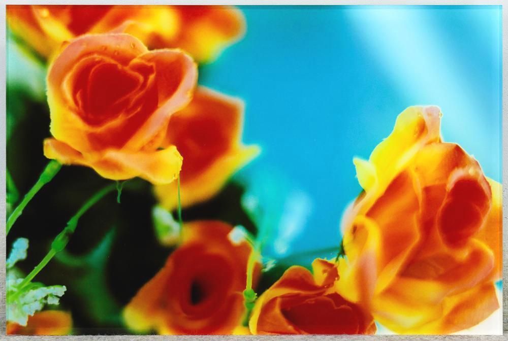 真作】【WISH】蜷川実花「Everlasting flowers」写真パネル 2005年作