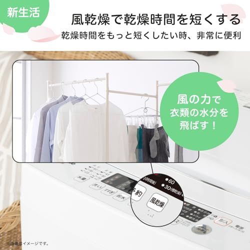  新生活家電セット ハイセンス 冷蔵庫 175 L 白 洗濯機 5 kg 一人暮らし 家電セット 2点セット 新生活応援 6 bdc 0902 その他 キッチン 食器