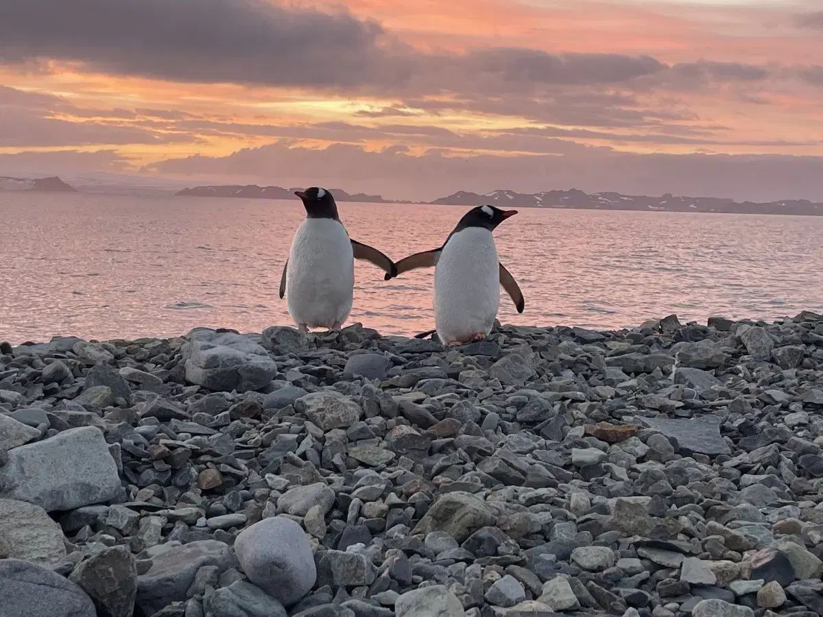 おまとめ配送 shop取引では対象外