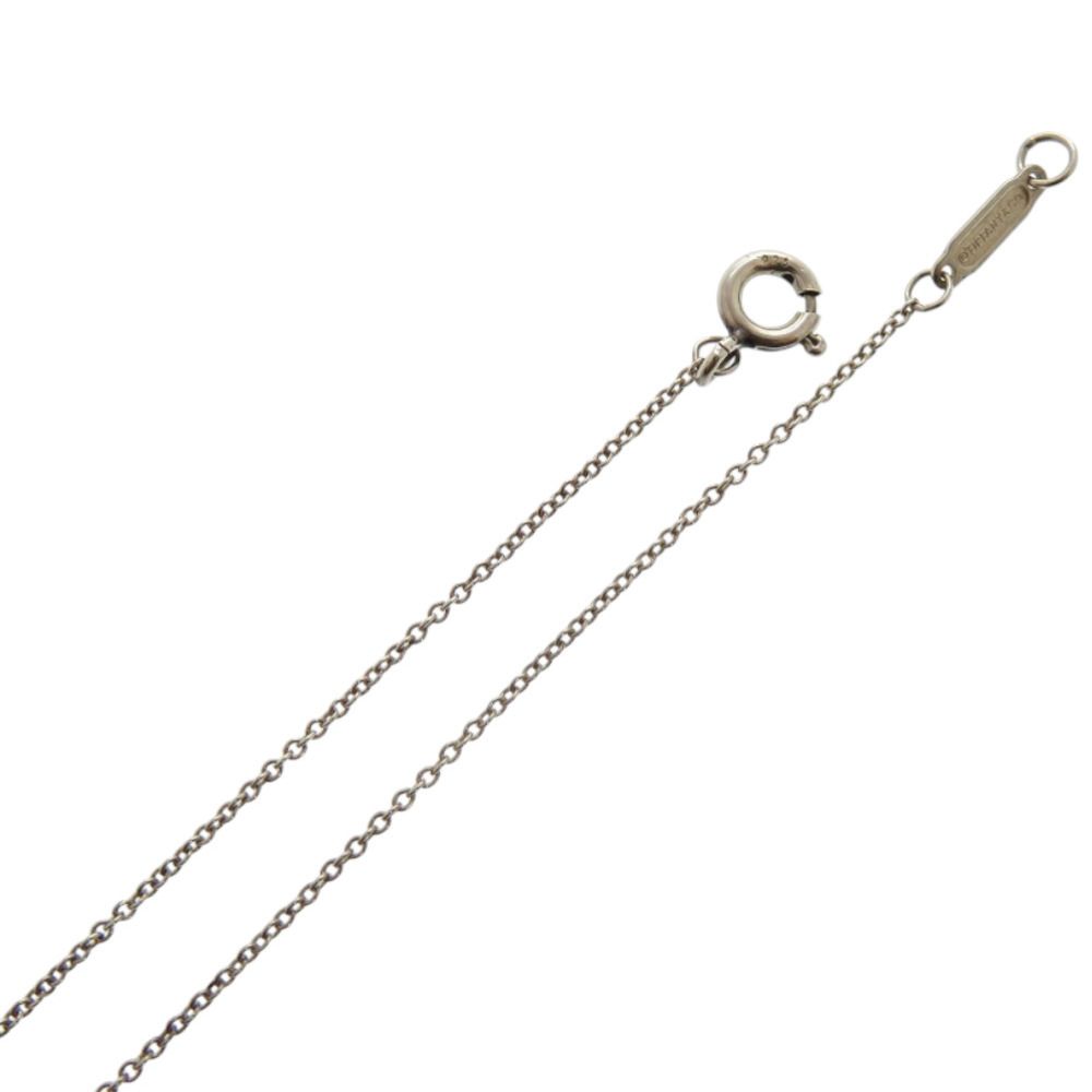 美品 ティファニー スイングネックレス T&Co. アイコンロゴ シルバー