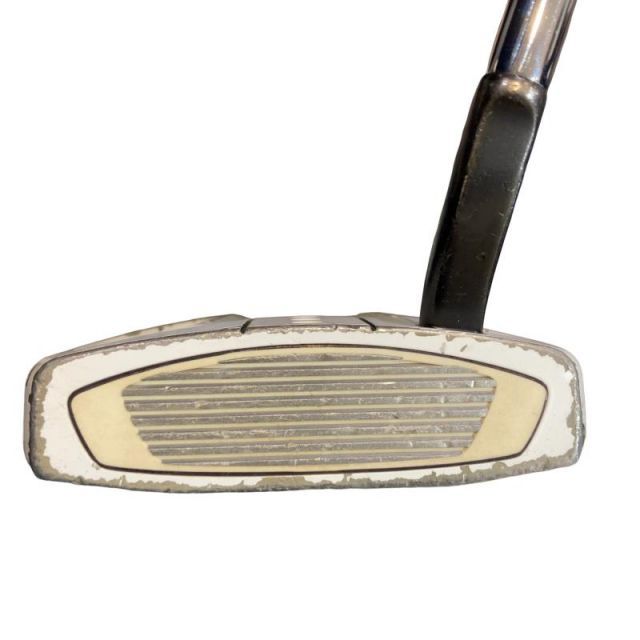 中古】 テーラーメイド Spider EX GHOST WHITE フローネック 34インチ