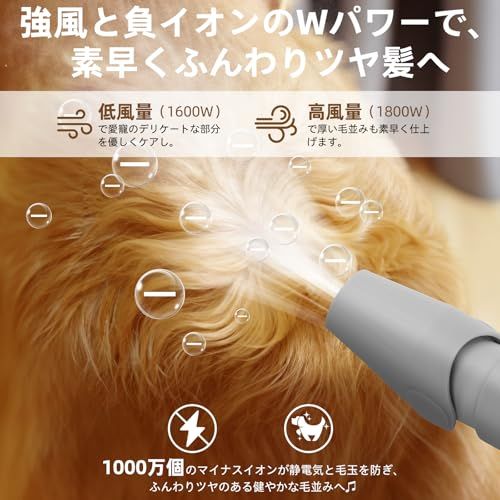 ４種類ノズル付き 超大風量