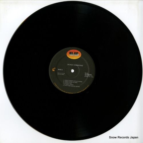 激レア盤 Shaggy feat Beres Hammond 7インチレコード 激レア盤 Shaggy feat Beres Hammond 7インチレコード 激レア盤 Shaggy