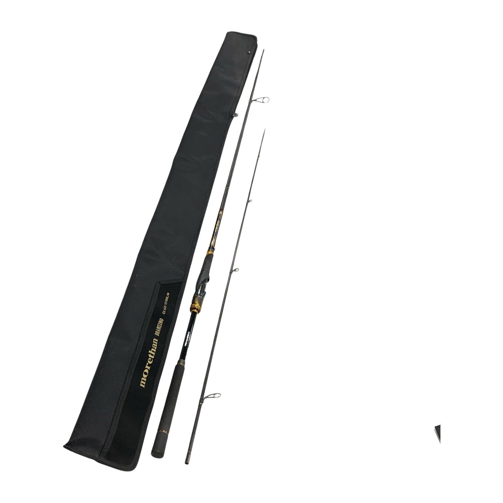 DAIWA ダイワ モアザンブランジーノEX AGS 1010 ML M シーバスロッド