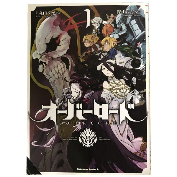 【全初版本】オーバーロード 全巻セット 1〜19巻 オーバーロード 全19巻セット オーバーロード = OVERLORD 1-19巻 全巻