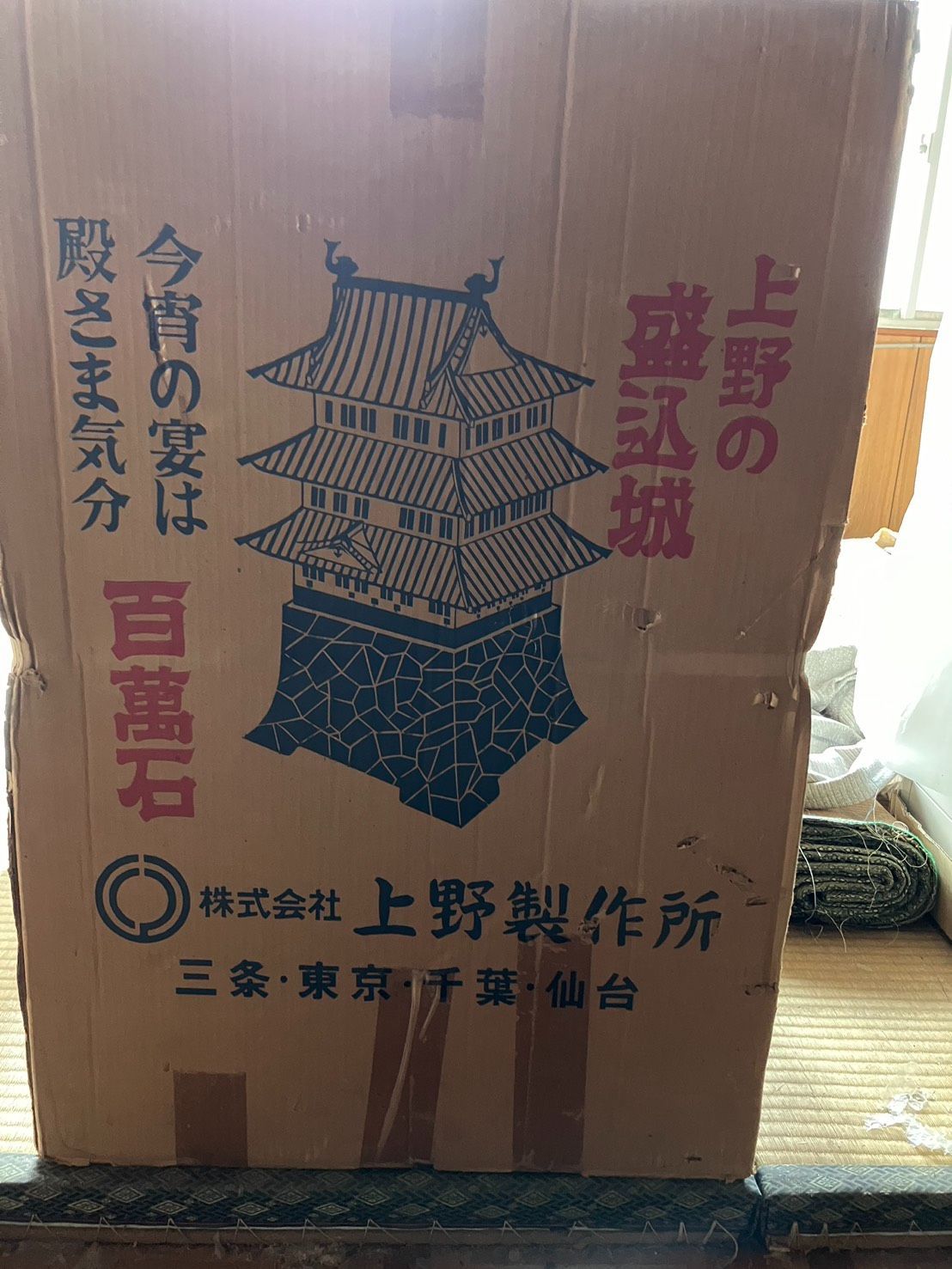 上野の盛込城 インパクト抜群 一点限り