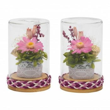 蒼天ボトルフラワー 対入 ジニア KS 2201201 57 j