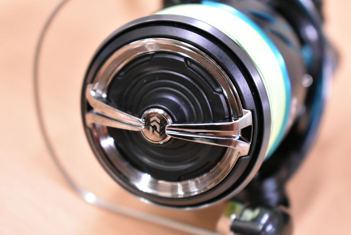 アオリイカ コウイカ