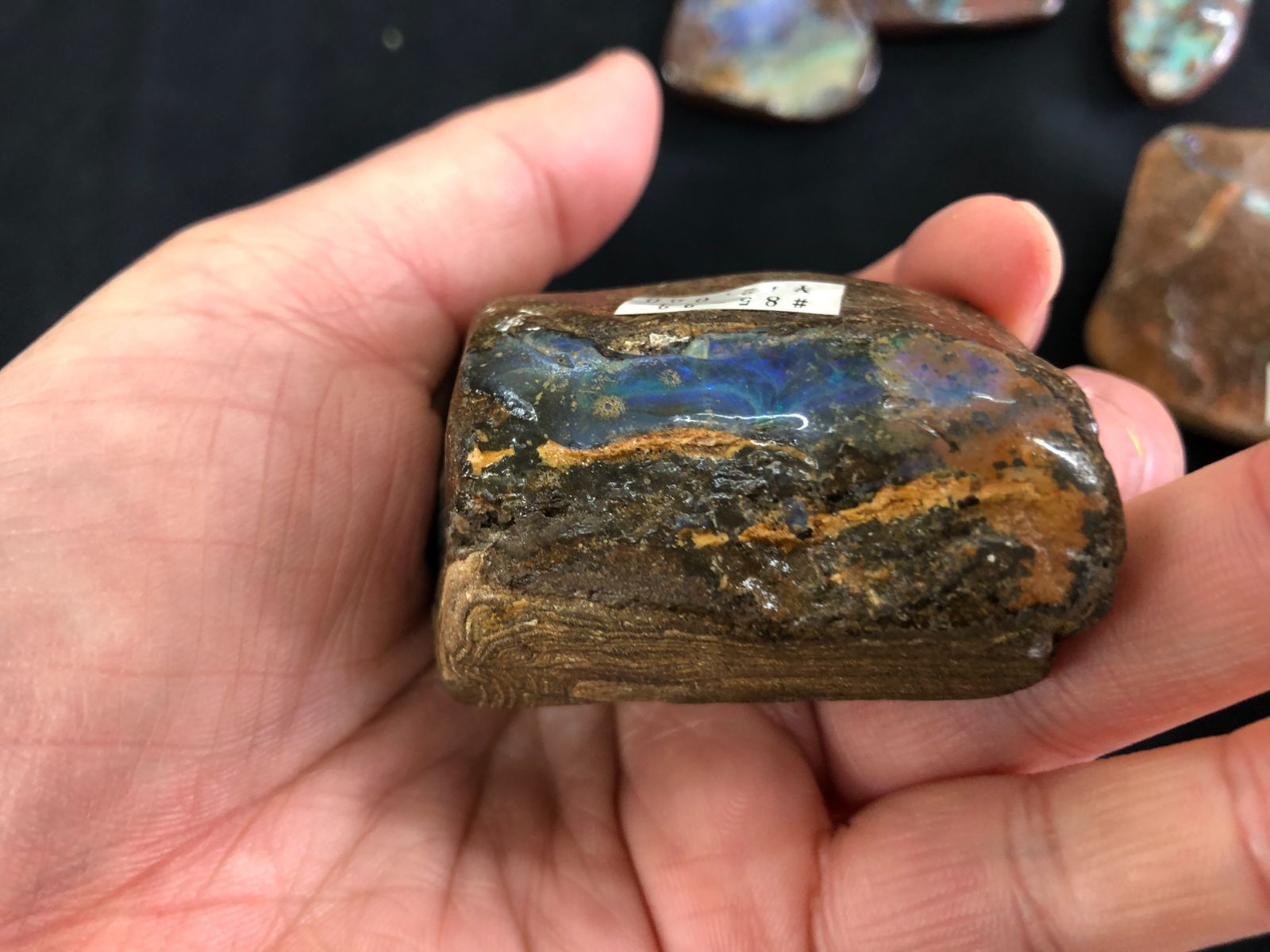 ボルダーオパールBOX オーストラリア産