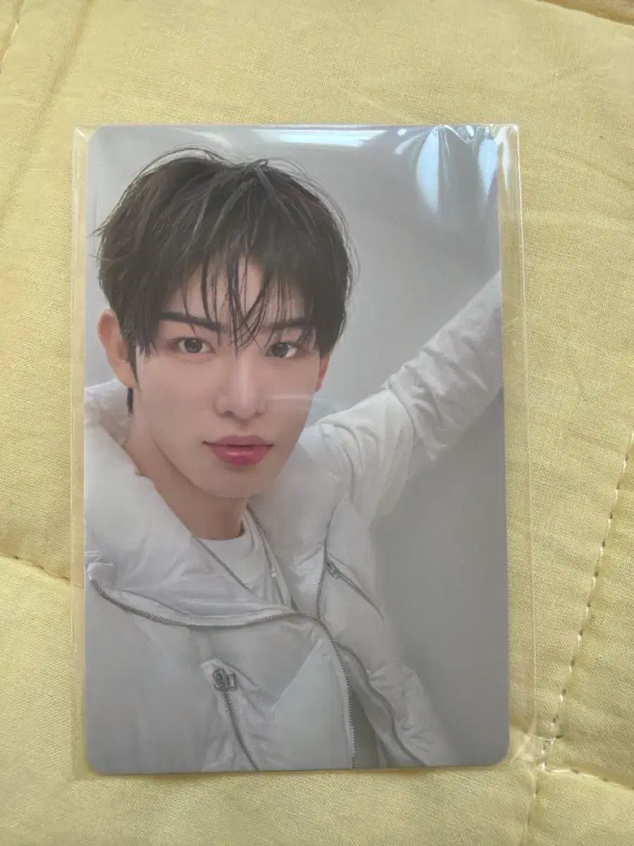 チェリブ韓国ファンミ　MD購入特典トレカ チェリブ リブ ペンミ MD 購入特典トレカ Drawing Yu ポイプラ - メルカリ