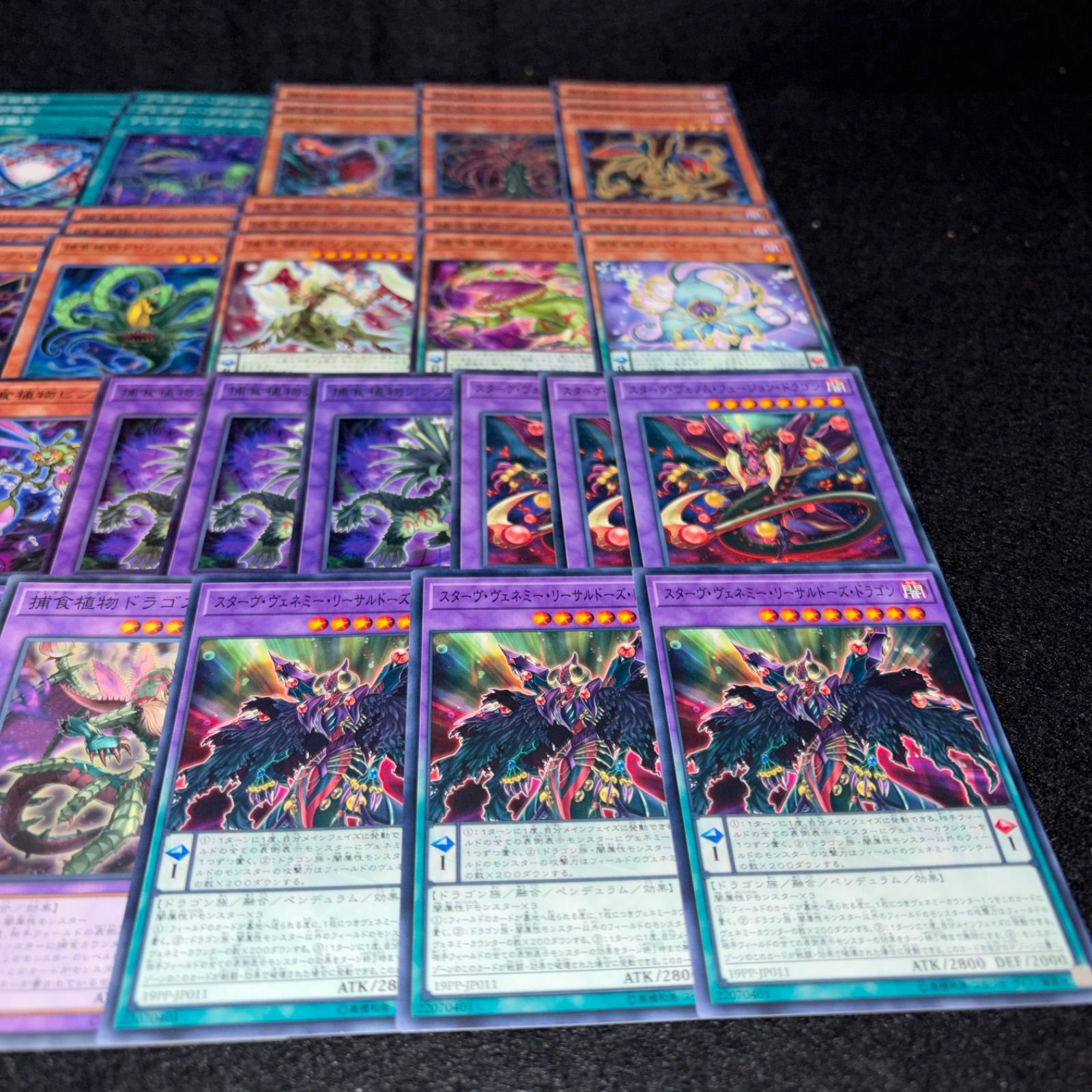 遊戯王 捕食植物 プレデタープランツ デッキ プレデター・プランツ