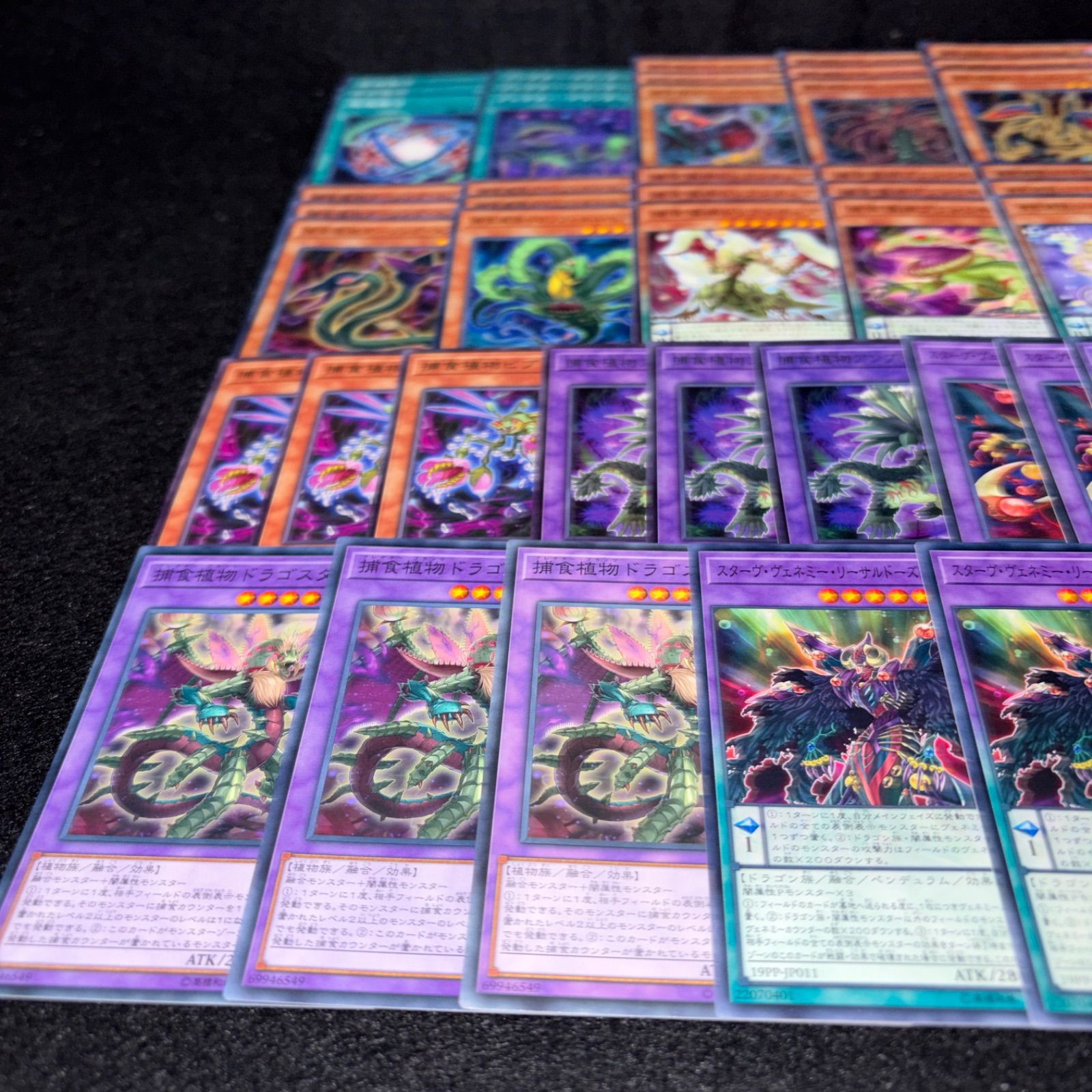 No.PP302 遊戯王 捕食植物 プレデタープランツ デッキパーツ スターヴ