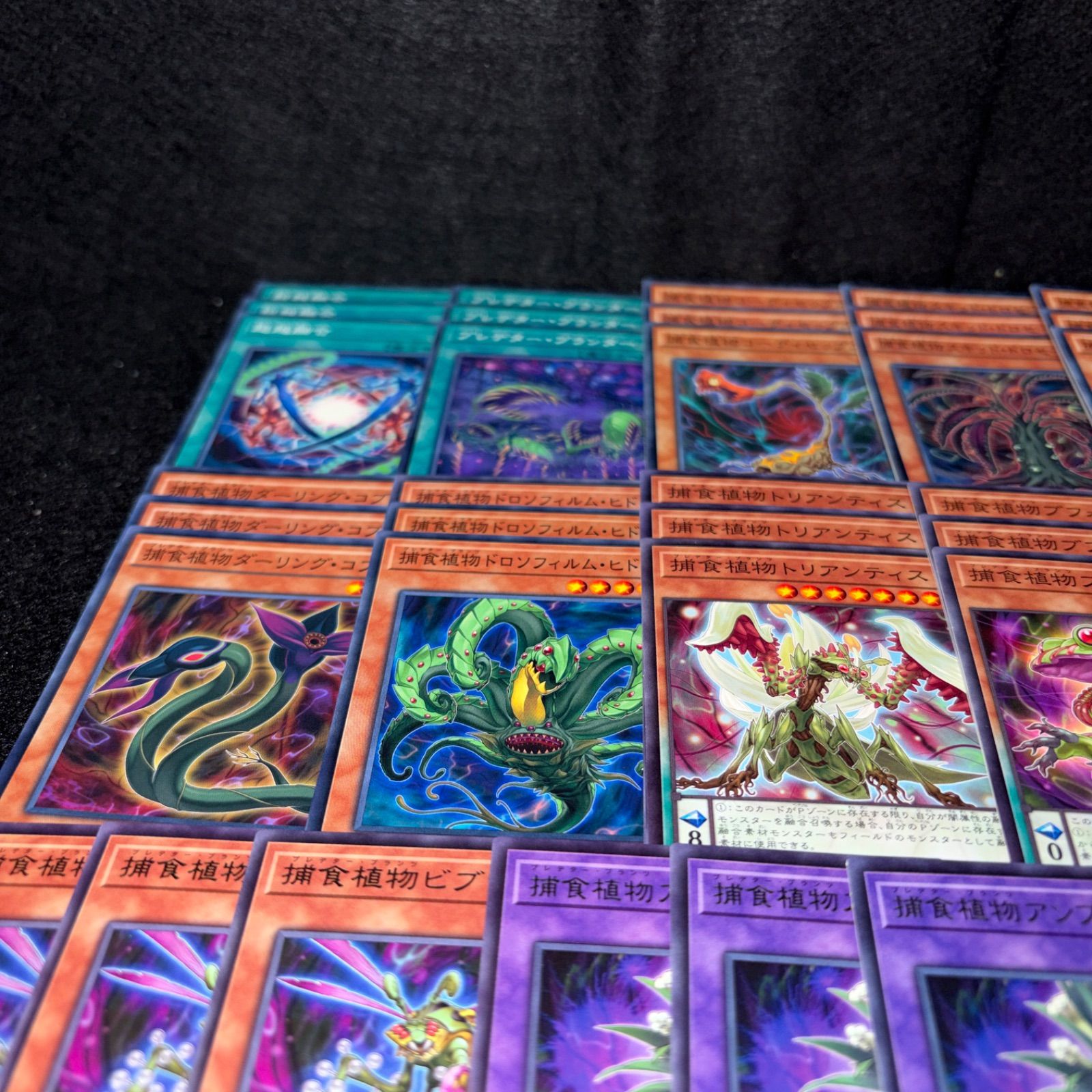 No.PP302 遊戯王 捕食植物 プレデタープランツ デッキパーツ スターヴ