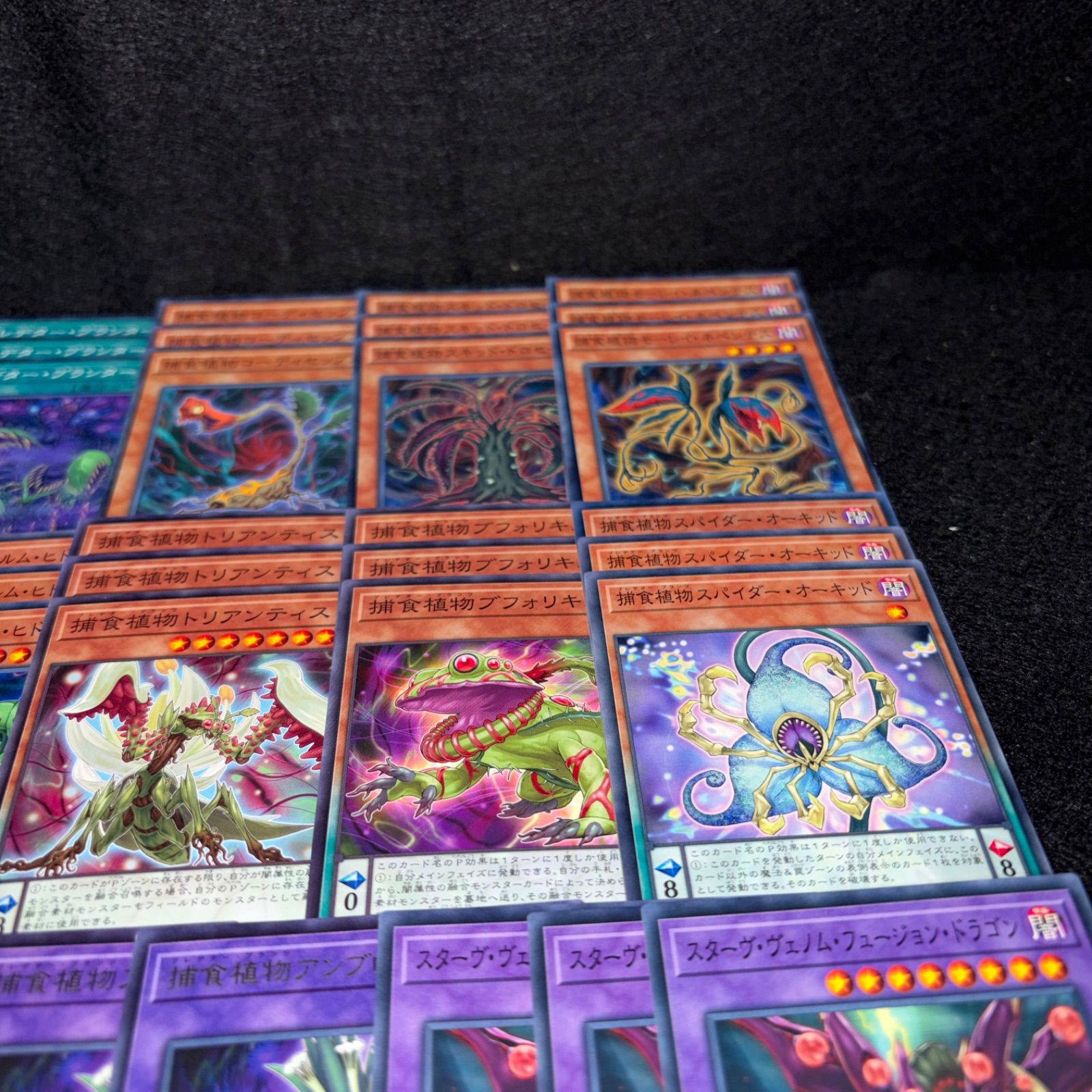 No.PP302 遊戯王 捕食植物 プレデタープランツ デッキパーツ スターヴ