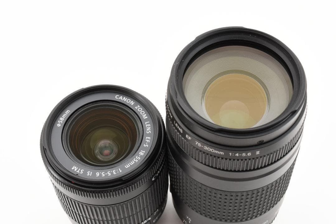 スマホ転送◎ Canon キャノン EOS Kiss X9 超望遠ダブルレンズセット