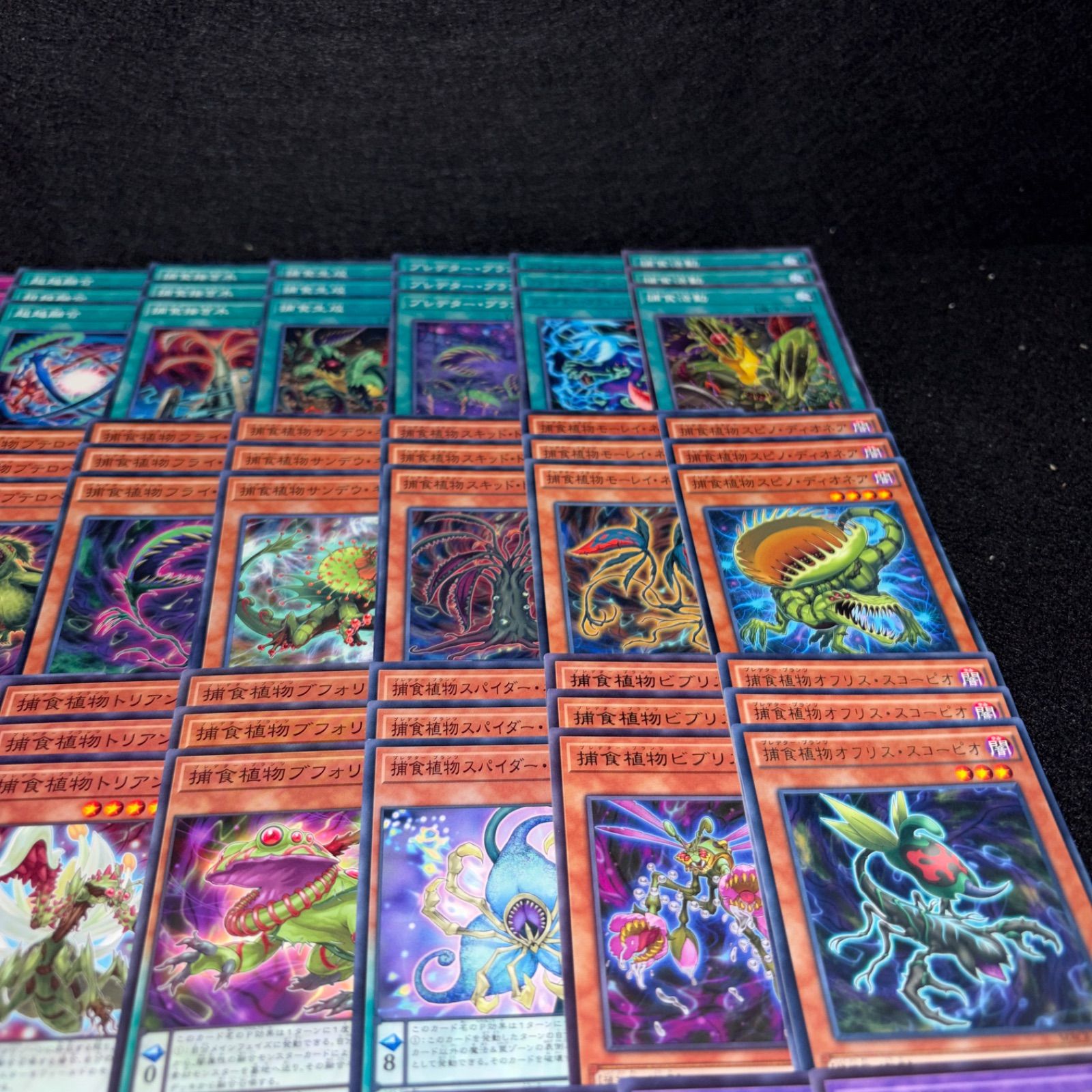 遊戯王 捕食植物 プレデタープランツ アジア版 デッキパーツ シークレット 遊戯王 捕食植物/プレデタープランツ デッキパーツ - メルカリ