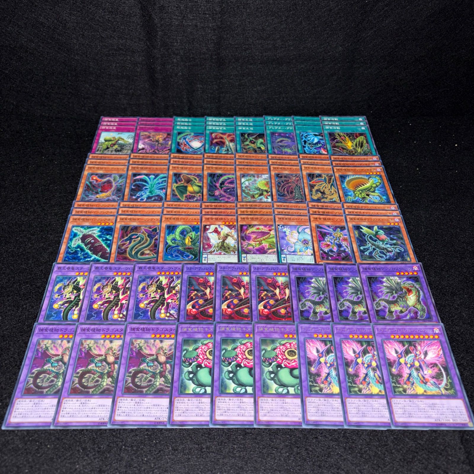 No.PP303 遊戯王 捕食植物 プレデタープランツ デッキパーツ オフリス