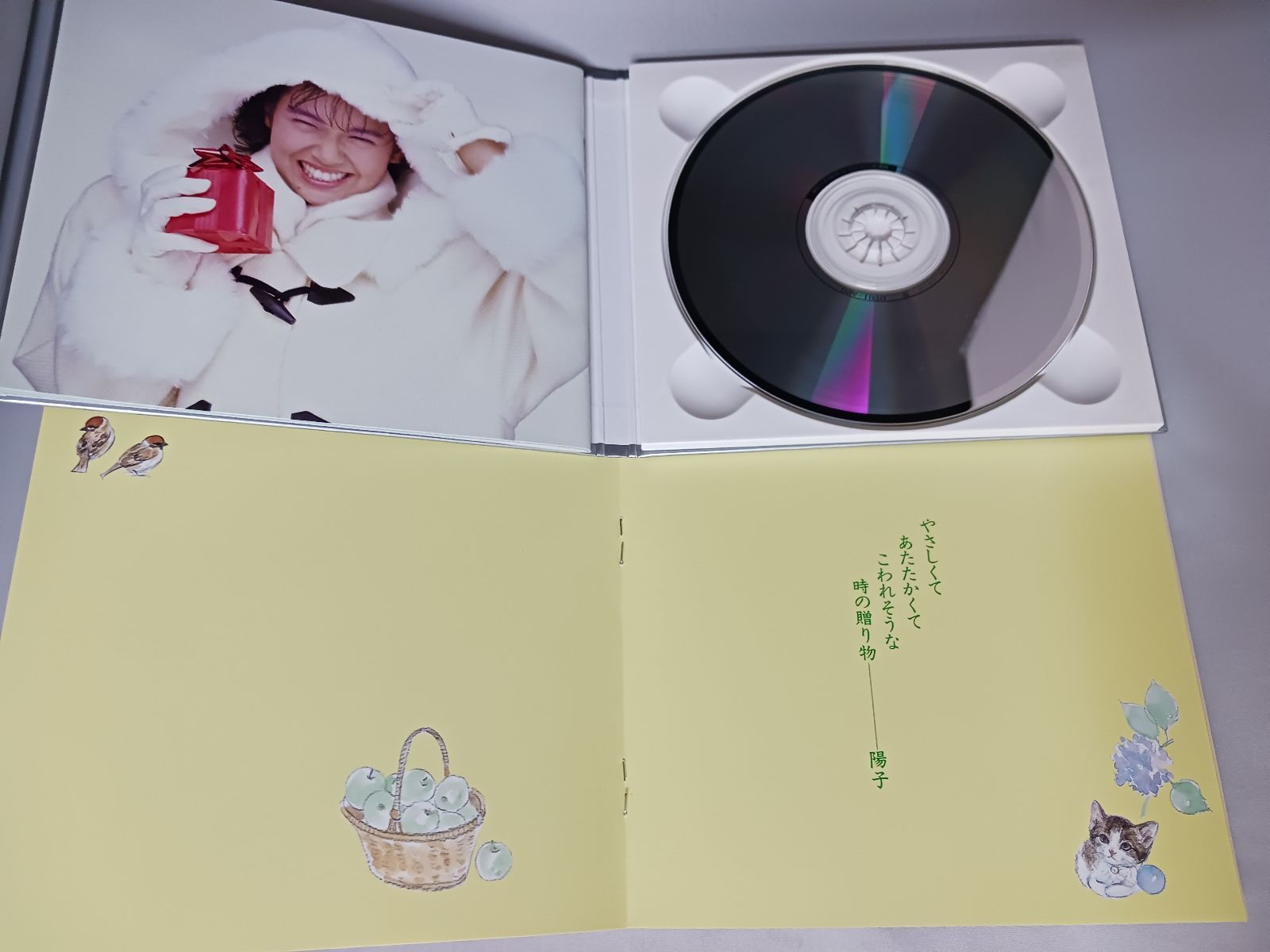 （ＬＰ）南野陽子／スノーフレイク　帯付 CD 南野陽子 スノーフレイク 帯イラスト集付き - メルカリ