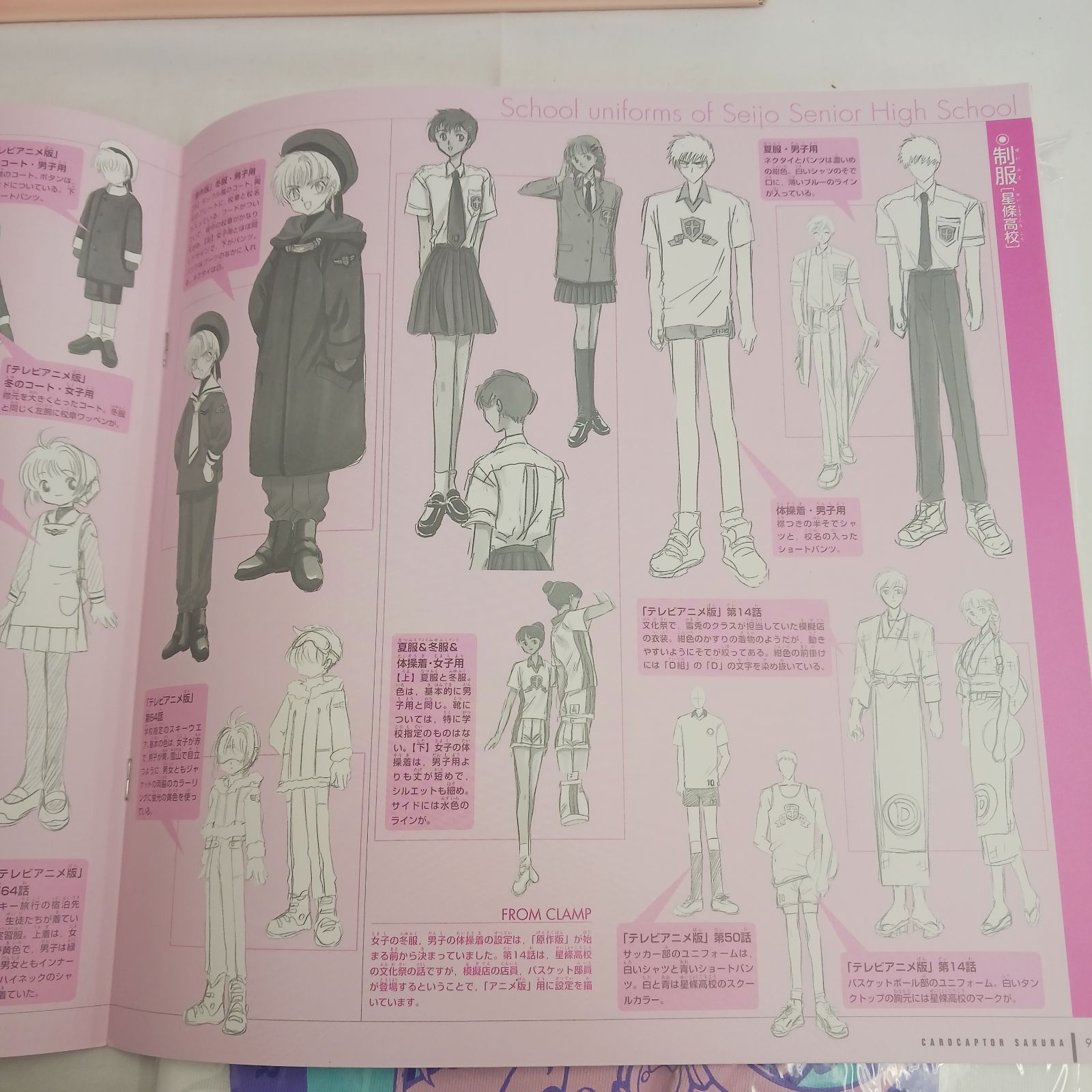 運送用段ボールに入れて発送予定