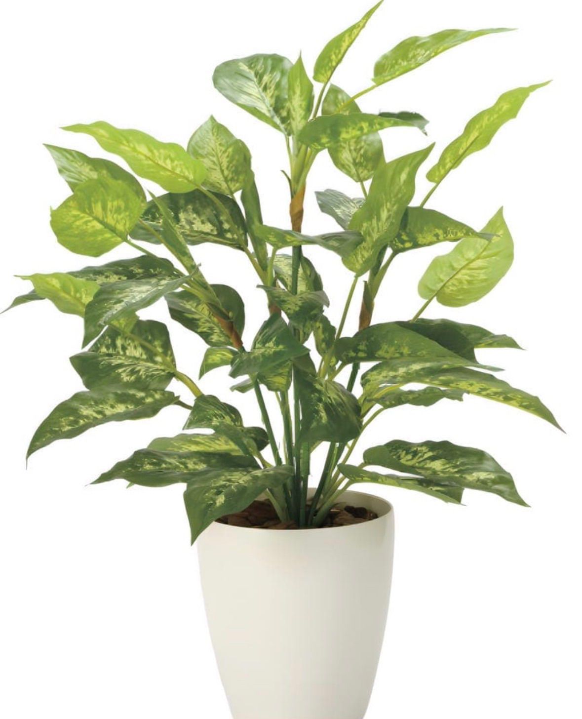 光触媒　人工観葉植物　フェイクグリーン　フレッシュディフェンバキアL 光触媒 人工観葉植物 フェイクグリーン フレッシュディフェンバキアL