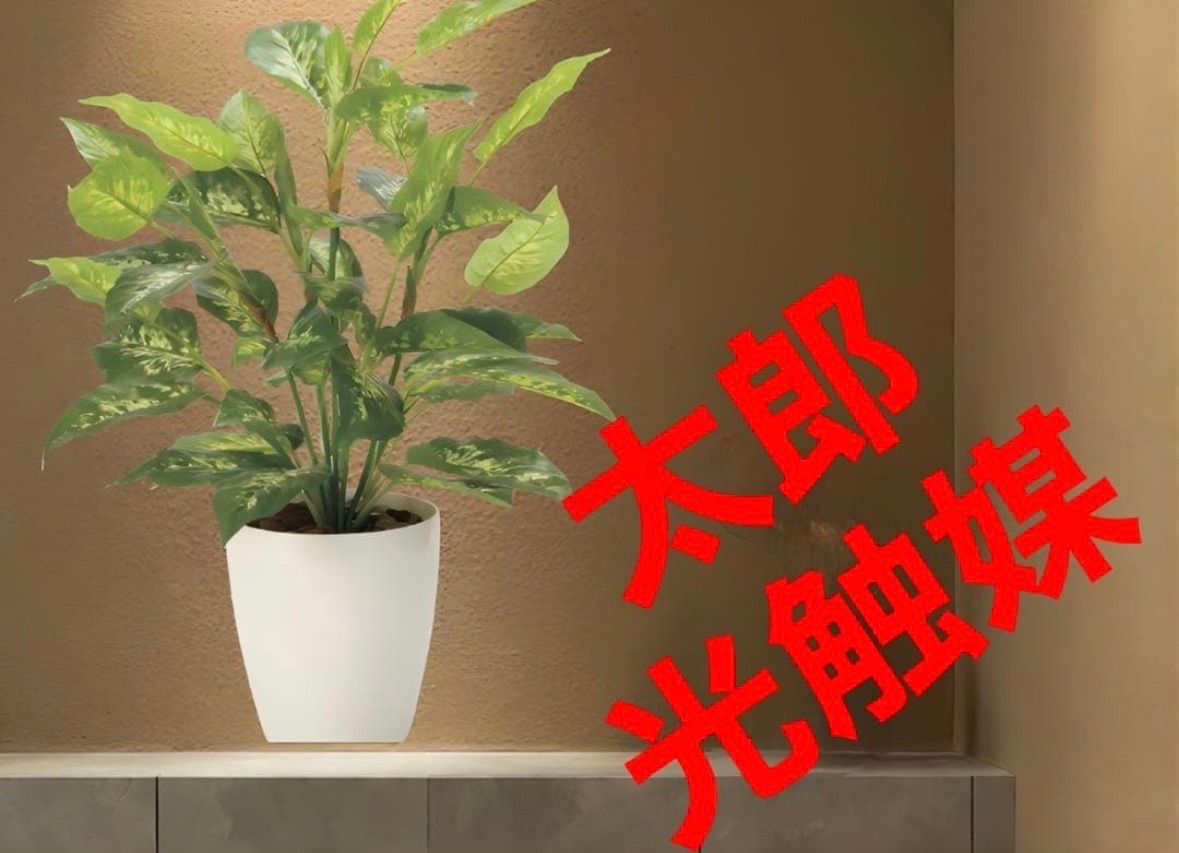 光触媒 人工観葉植物 フェイクグリーン フレッシュディフェンバキアL