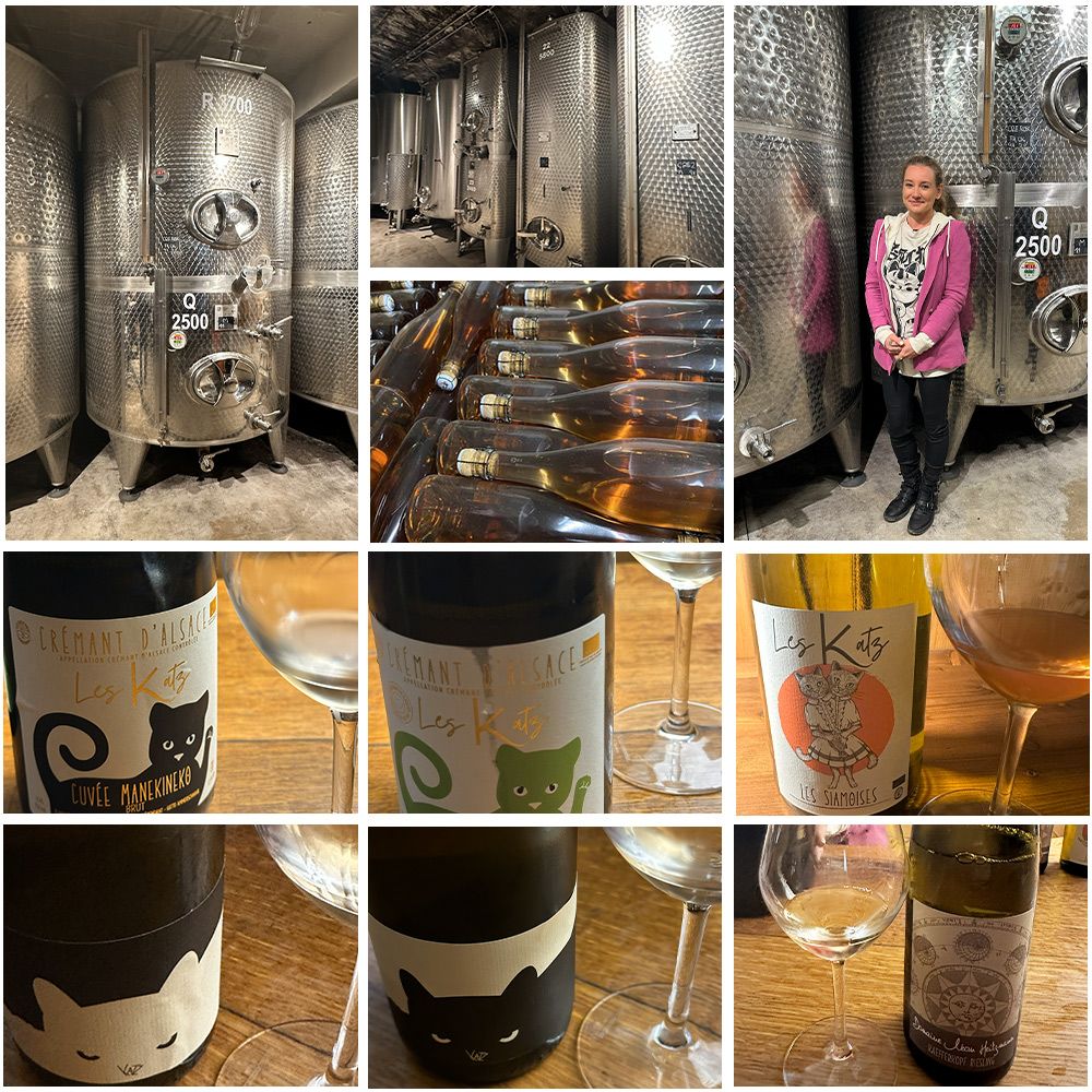 送料無料 6本セット】クレマン ダルザス(アルザス) “キュヴェ