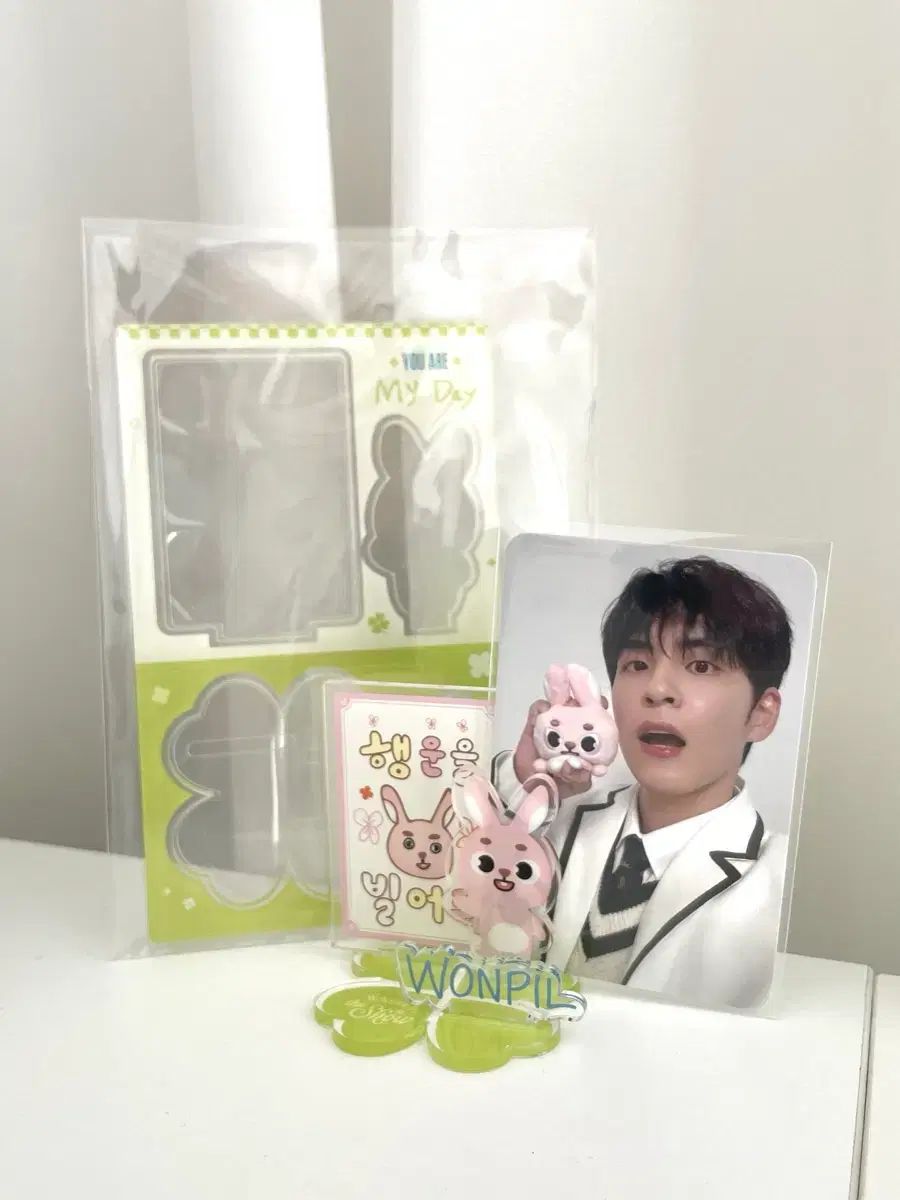 DAY6（デイシックス） 桜コンサート ライブコンサート アクリル