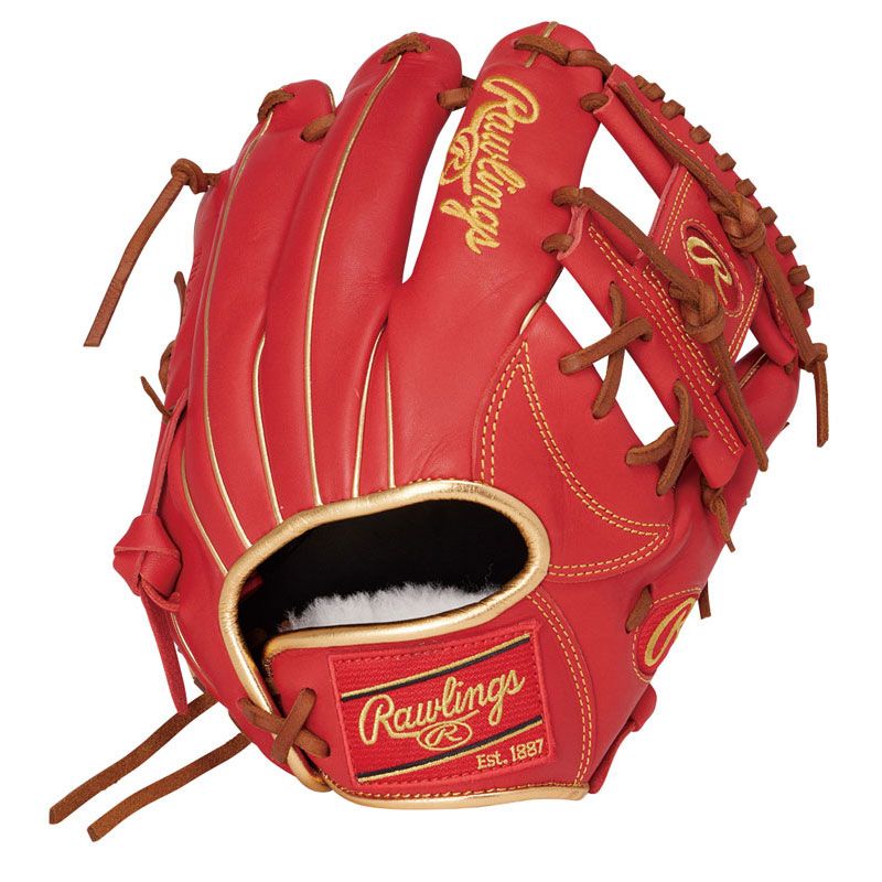 ローリングス Rawlings 軟式 HOH プロエクセルエリート N6X0 SC 軟式用