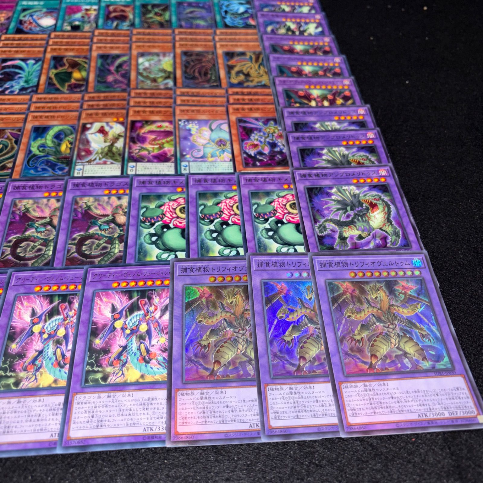 No.PP304 遊戯王 捕食植物 プレデタープランツ デッキパーツ トリ