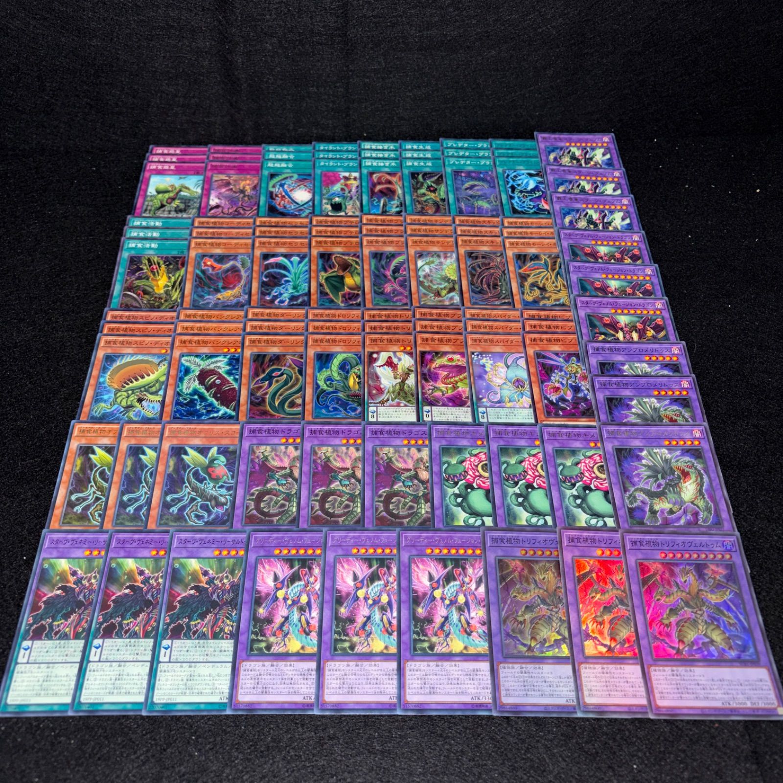 No.PP304 遊戯王 捕食植物 プレデタープランツ デッキパーツ トリ