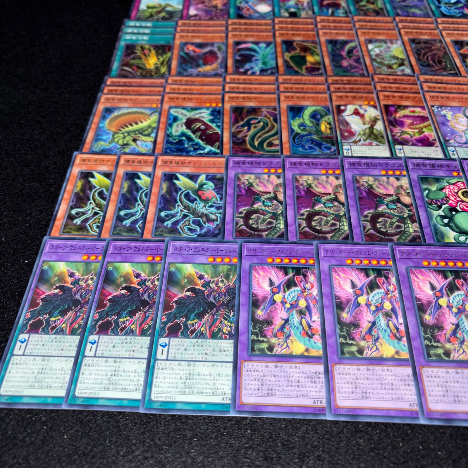 No.PP304 遊戯王 捕食植物 プレデタープランツ デッキパーツ トリ