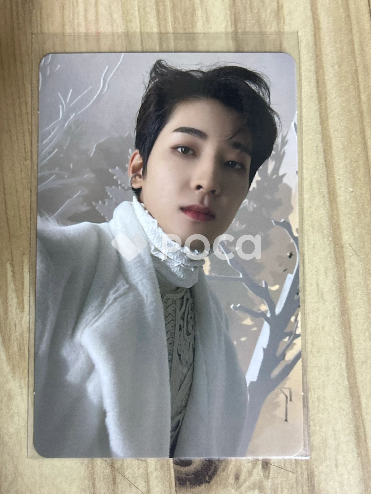 Seventeen ウォヌ Power of Love 初回限定盤 - メルカリ