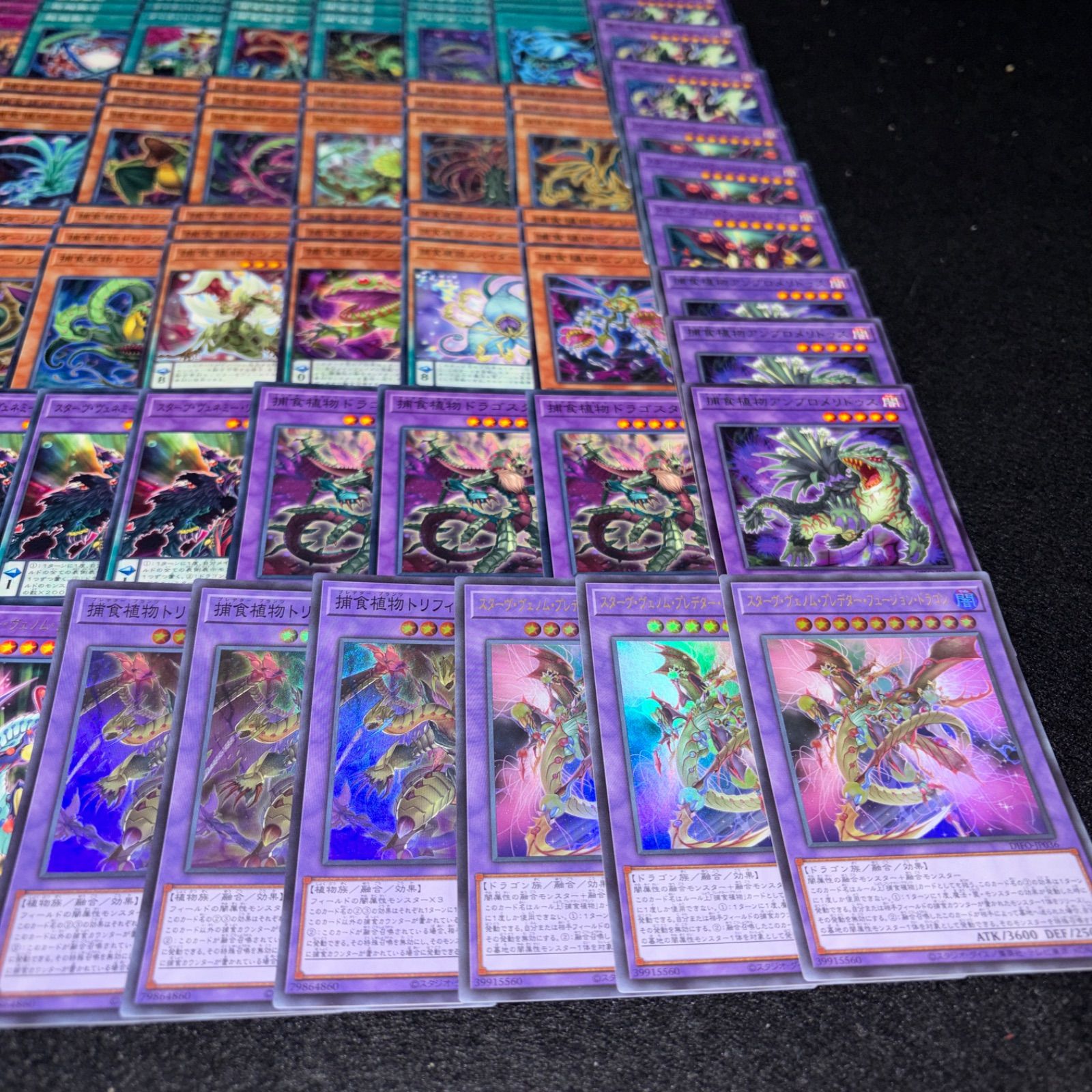 No.PP305 遊戯王 捕食植物 プレデタープランツ デッキパーツ スターヴ